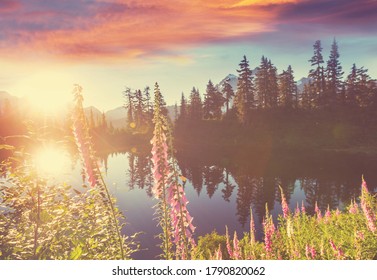 Scenic Picture lake with mount Shuksan reflection in Washington, USA - Powered by Shutterstock