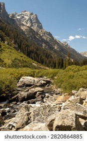 A scenic pine forest frames the rugged mountains of the Teton Range in Grand Teton National Park, Wyoming. Tall evergreen trees and dramatic mountain peaks create a peaceful summer landscape showcasing the natural beauty of the American West.