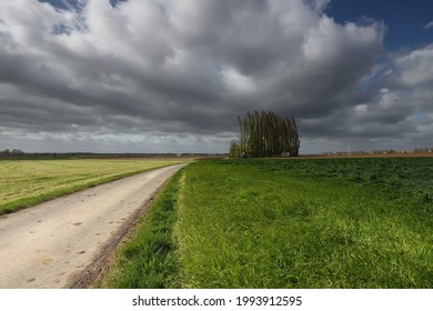 Scenic road in grassfields flanders, Belgium
