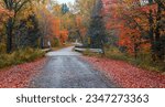 Scenic road passing through Van riper state park in Michigan upper peninsula during autumn time.