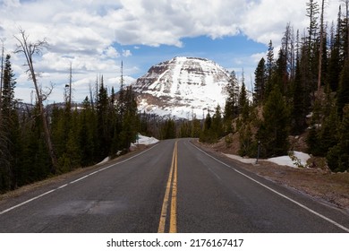 Scenic Road, Snowy Mountain And Trees. Spring Season. Hayden Pass, Utah. United States. Nature Background.