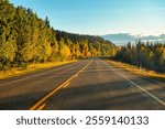 Scenic road trip in autumn forest and asphalt road at Banff national park, Alberta, Canada