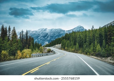 Scenic road trip with rocky mountains and pine forest on the road during autumn in overcast day at Banff national park, Alberta, Canada