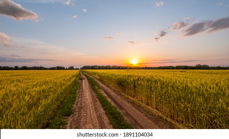 Scenic Road In The Wheat Field