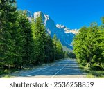 Scenic road winding through lush green pine tree forest with view of majestic mountain massif Zhaborret, Albanian Alps, Valbone Valley National Park, Albania. Epic road-trip in Accursed mountains