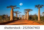 A scenic road winds through a line of towering baobab trees, with the full moon illuminating the scene. Perfect for travel, nature, and adventure themes.