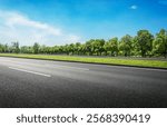 Scenic Roadside View with Lush Green Trees under a Clear Blue Sky  