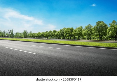 Vista panorámica de la carretera con exuberantes árboles verdes bajo un cielo azul claro  