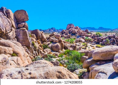 Scenic Rocks In Joshua Tree National Park  In Hidden Valley