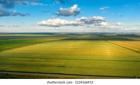 Scenic Rows Of Agricultural Fields On A Summer Farm In The Evening. Aerial Photography, Top View Drone Shot. Agricultural Area Of Moscow Region. Agrarian Land In Summertime. Beauty Of Earth