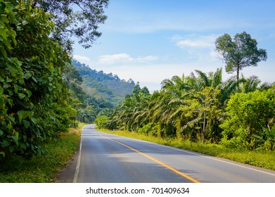 Scenic rural asphalt road in Thailand province.