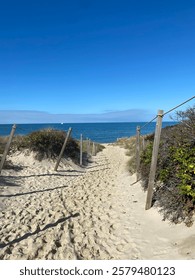 A scenic sandy path winds through coastal dunes, leading to a beautiful New England beach. Framed by beach grass and wooden fences, this tranquil scene captures the charm of the northeastern coast.