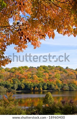 Similar – Image, Stock Photo forest lake Autumn Tree