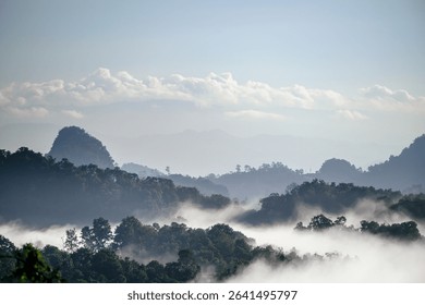 Scenic sea of fog over forested hills, Peaceful mountain valley covered in mist, Layered highland hills in early morning fog