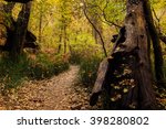 Scenic Sedona west fork trail/Oak Creek Canyon during autumn/fall. Hiking trail. 