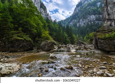 Scenic shot of the Bicaz gorge in Romania with a river running through the rocky mountains, green pine trees and blue sky with clouds.