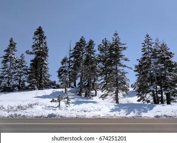 Scenic Snow Landscape From The Side Of The Road In Lake Tahoe, California