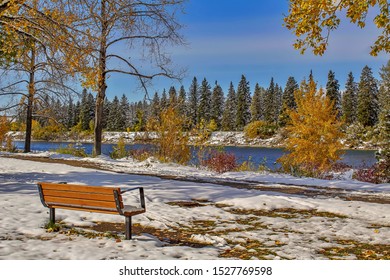 Scenic Snowy Park Bench Views