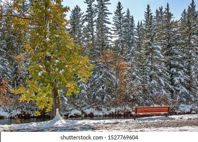 Scenic Snowy Park Bench Views