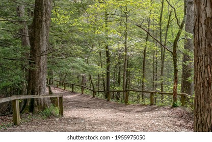 Scenic Springtime Hiking Trails In A Indiana State Park