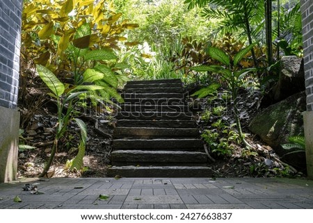 Scenic stone stairs among green foliage leading across beautiful tropical woods. Way through forest in summer season on Seychelles island