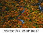 Scenic Stowe Vermont Fall Foliage Forest Road. Curved Road in New England Famous Viewpoint Aerial Drone Birds Eye View Autumn Season Smuggler