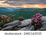 Scenic summer view, Linville Gorge Wilderness, flowering pink shell azalea, North Carolina