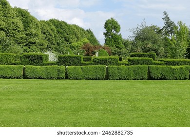 Scenic summertime view of an attractive English style landscape garden with a fresh mowed grass lawn, green leafy trees and topiary hedge - garden and nature themed photograph in colour - Powered by Shutterstock