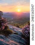 Scenic sunrise view of the Blue Ridge Mountains in North Carolina
