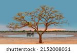 Scenic sunset in the Etosha National Park in Namibia, Namib desert, Africa. Lone acasia tree at amazing sunset reflection in the water hole with African elephant