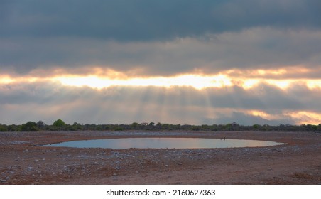 Scenic Sunset In The Etosha National Park In Namibia, Namib Desert, Africa. Lone Tree At Amazing Sunset Reflection In The Water Hole