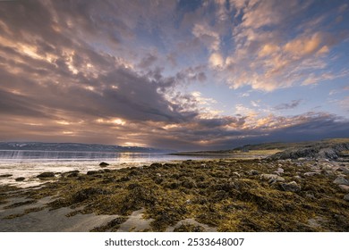 A scenic sunset over a rocky shore with a dramatic cloudy sky and mountains. Varanger, Norway - Powered by Shutterstock