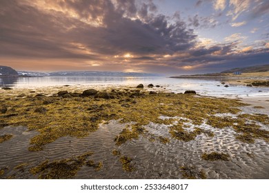 A scenic sunset over a rocky shore with a dramatic cloudy sky and mountains. Varanger, Norway - Powered by Shutterstock