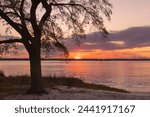 A scenic sunset view of the Cape Fear River from Carolina Beach State Park in North Carolina. 