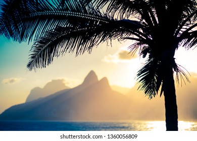 Scenic Sunset View Of Two Brothers Mountain Framed By The Silhouette Of A Palm Tree In Ipanema Beach, Rio De Janeiro, Brazil 