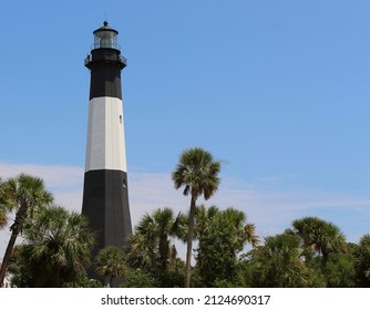 Scenic tall white and black lighthouse with searchlight amidst green palm trees, blue sky, and white clouds.