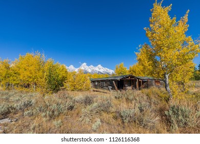 Aspen Logs Images Stock Photos Vectors Shutterstock