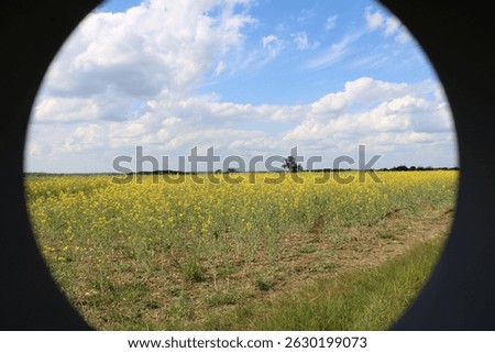 scenic though the round window
