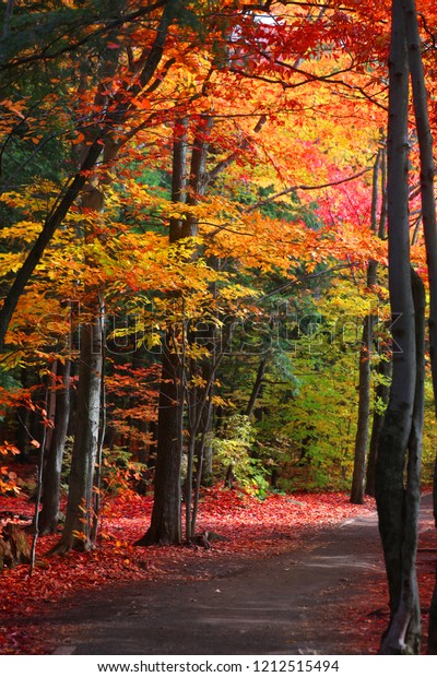 Scenic\
trail through Quebec countryside in autumn\
time