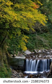 Scenic Tranquil Forest Valley Waterfall Nature Scenery