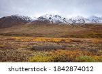 Scenic Tundra panorama view at Denali National Park Alaska in fall