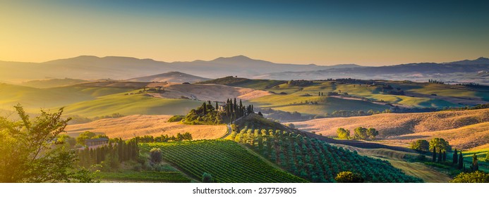 Scenic Tuscany landscape panorama with rolling hills and harvest fields in golden morning light, Val d'Orcia, Italy