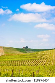 Scenic Tuscany landscape with vineyard in the Chianti region, Tuscany, Italy