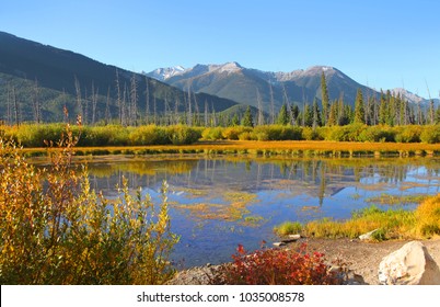 Scenic Vermilion lakes landscape in Banff national park
