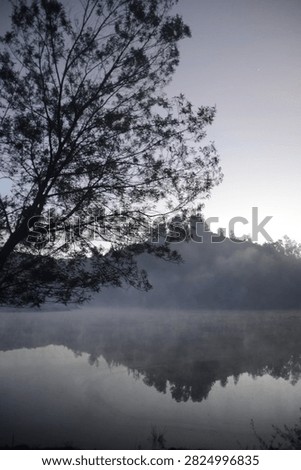 Scenic vertical view of a tranquil mountain lake with a wooden pier, silhouetted tree, and morning mist under a moody sky.