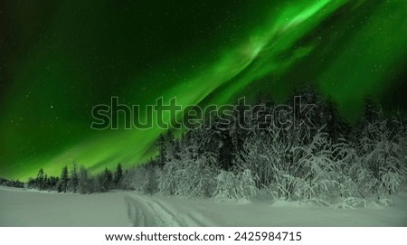 Scenic very wide panorama of winter pine tree forest edge with Northern Lights, green Aurora Borealis shines above. Much snow on trees after heavy snowfall