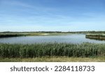 A scenic view across Bowers Marsh nature reserve under a blue sky on a summer’s day in Essex, UK.