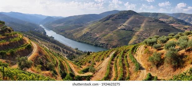 Scenic view of Alto Douro Vinhateiro, Tua Valley in Portugal.