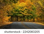 A scenic view of an asphalt road covered with fallen leaves in Cherokee park in autumn