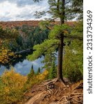 Scenic view of autumn colors and foliage on trees from atop the Hemlock Bluff Trail Algonquin Provincial Park Canada